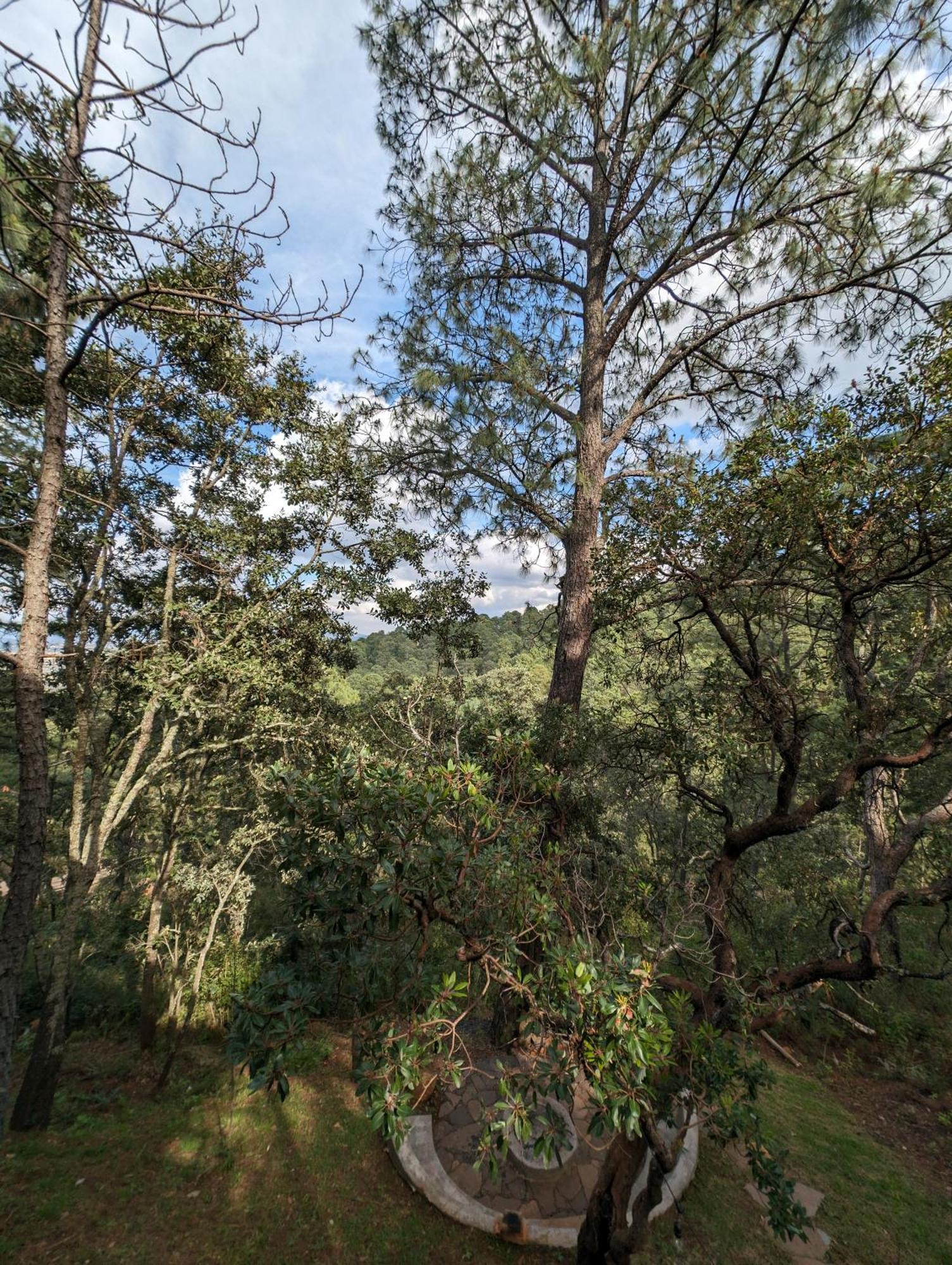 Cabana La Finca Mazamitla Exteriér fotografie